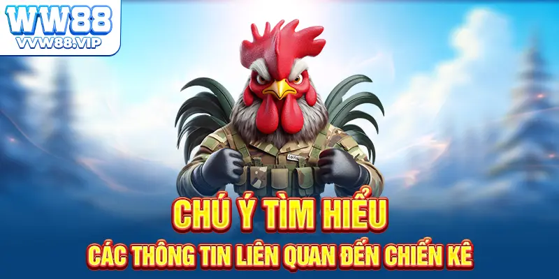 Chú ý tìm hiểu các thông tin liên quan đến chiến kê