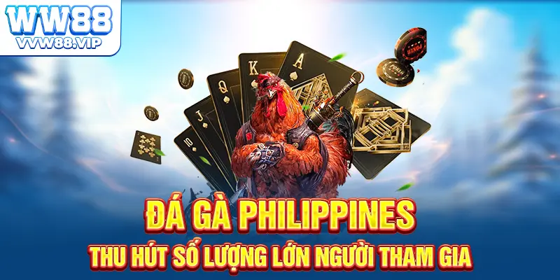 Đá gà Philippines thu hút số lượng lớn người tham gia